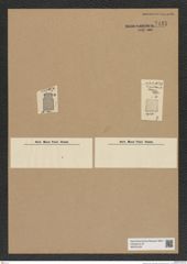 Diatomeae indet. Zeichnungen Sammlung Grunow Nr. 7155 (NHMW-BOT-W0376128)